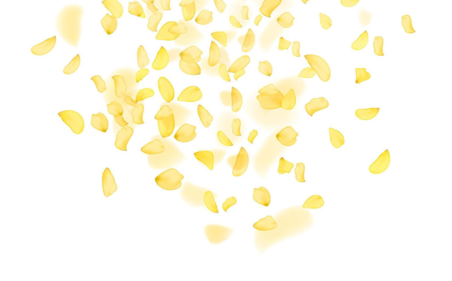 Flying yellow rose or sakura petals.Floral background. vector