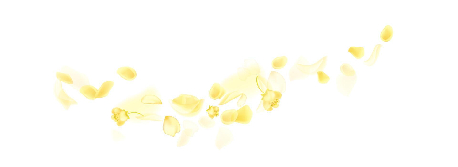 Flying yellow rose or sakura petals.Floral background. vector