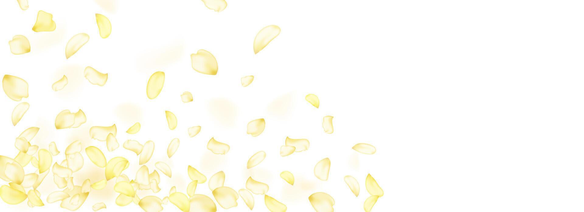 Flying yellow rose or sakura petals.Floral background. vector