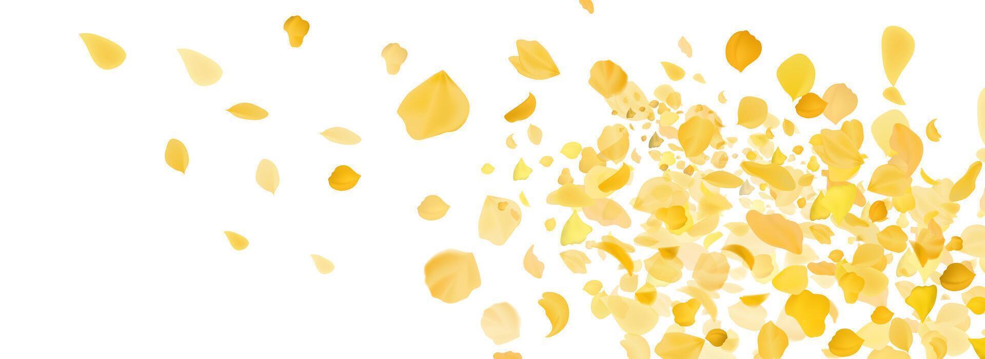 Flying yellow rose or sakura petals.Floral background. vector