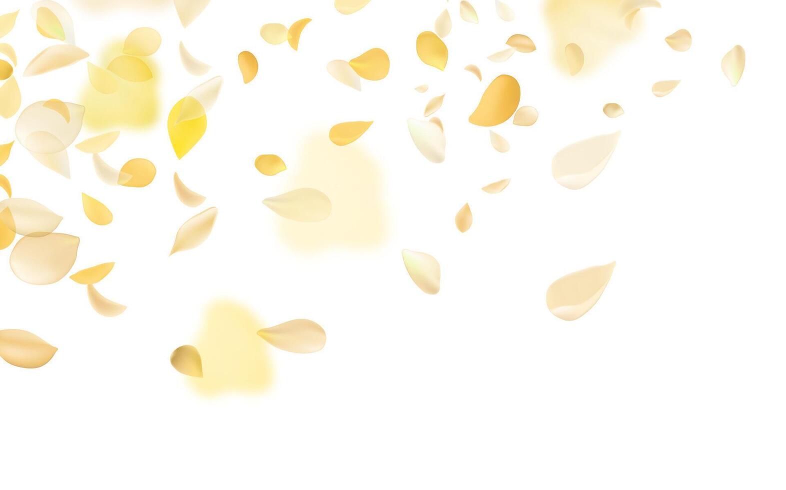 Flying yellow rose or sakura petals.Floral background. vector