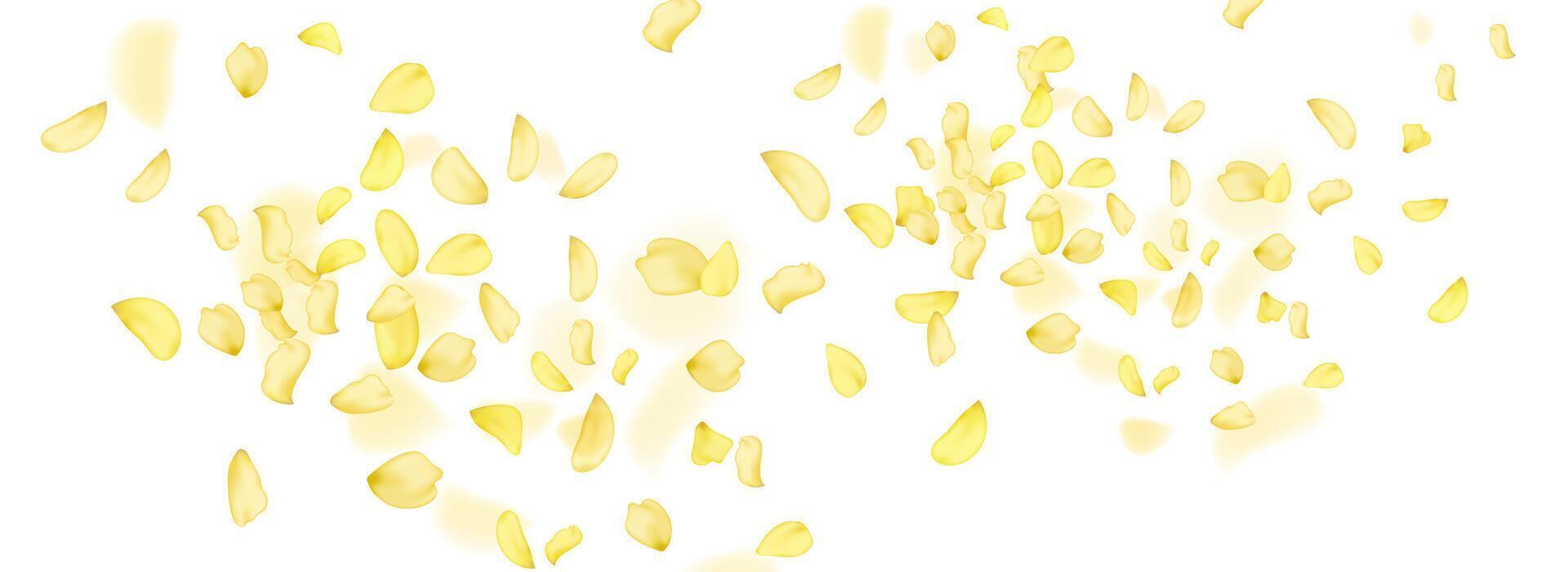 Flying yellow rose or sakura petals.Floral background. vector