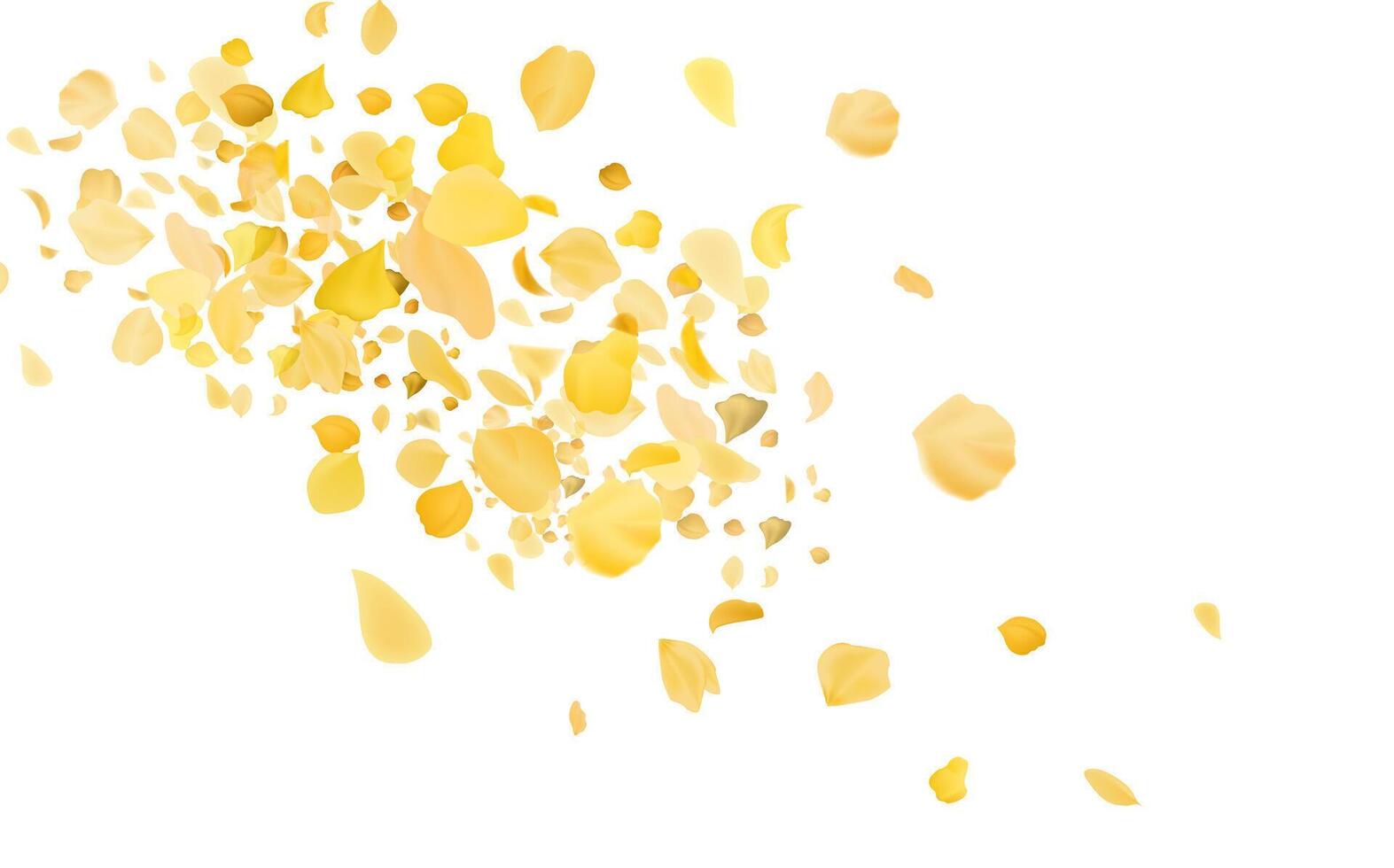 Flying yellow rose or sakura petals.Floral background. vector