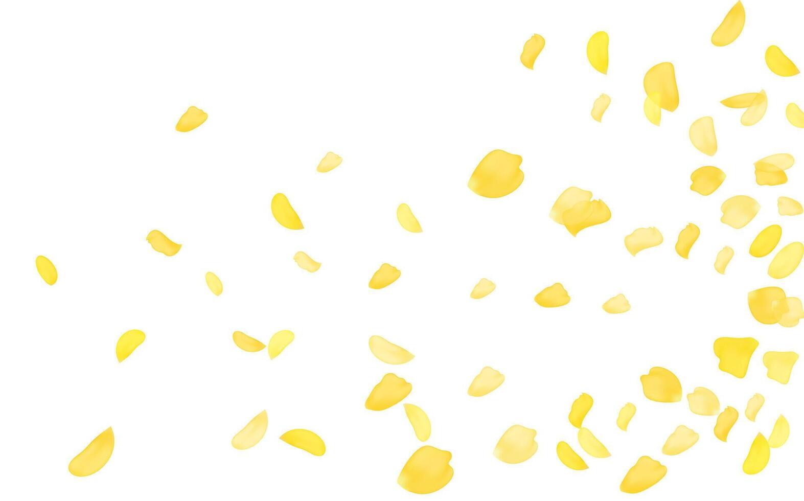 Flying yellow rose or sakura petals.Floral background. vector