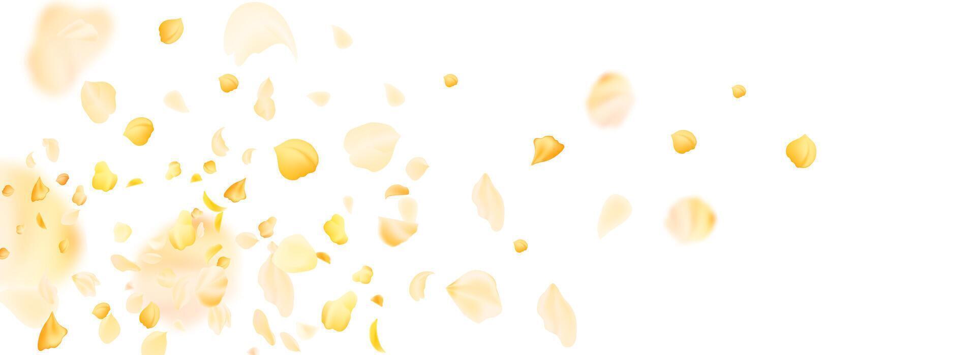 Flying yellow rose or sakura petals.Floral background. vector