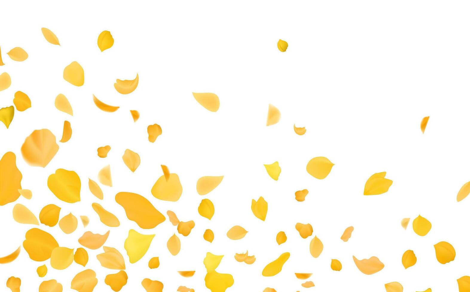 Flying yellow rose or sakura petals.Floral background. vector