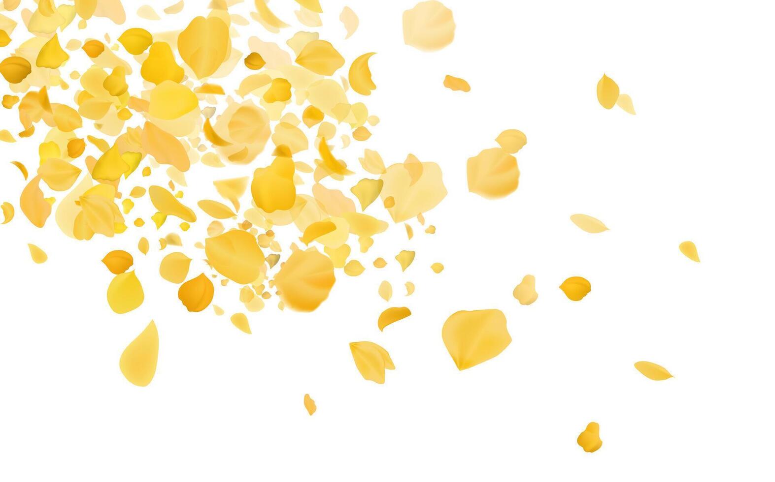 Flying yellow rose or sakura petals.Floral background. vector