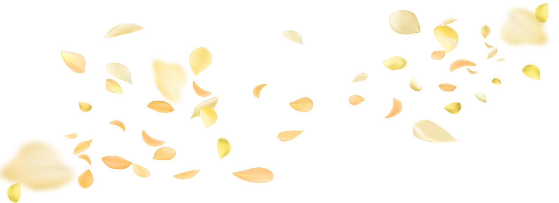 Flying yellow rose or sakura petals.Floral background. vector