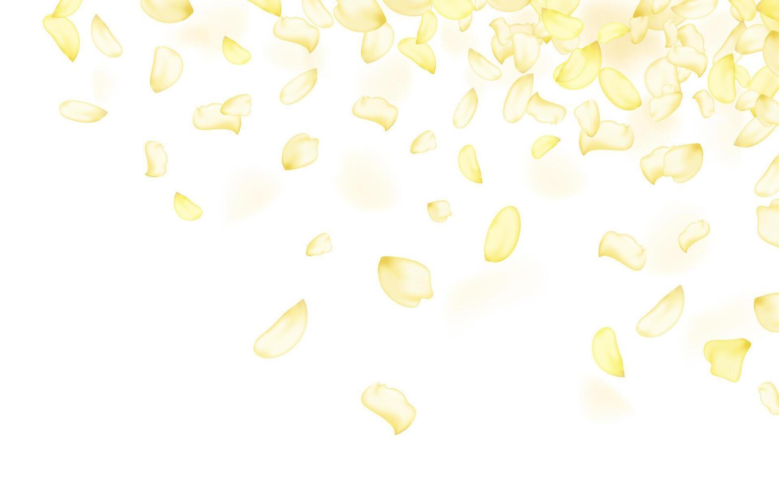 Flying yellow rose or sakura petals.Floral background. vector