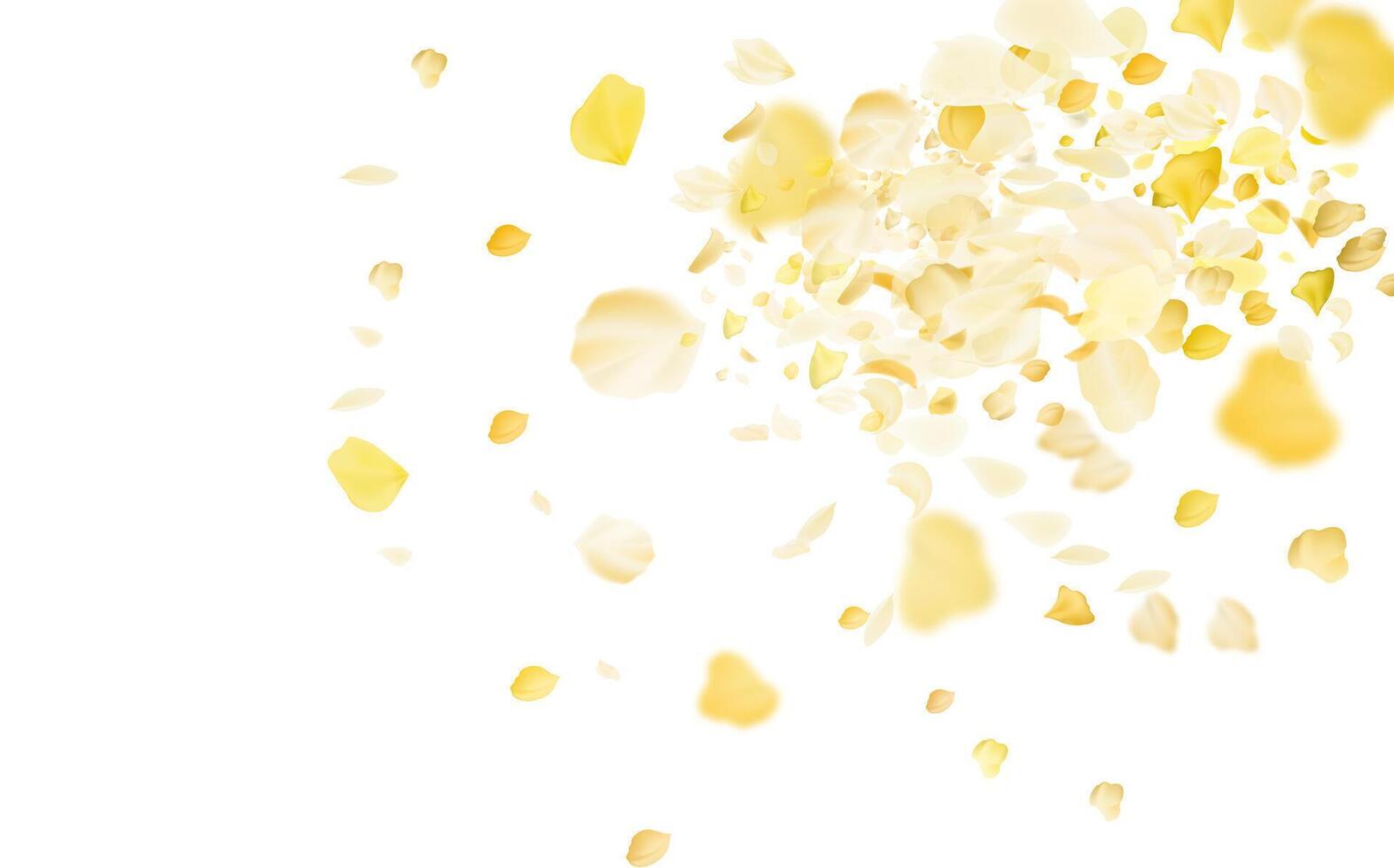 Flying yellow rose or sakura petals.Floral background. vector