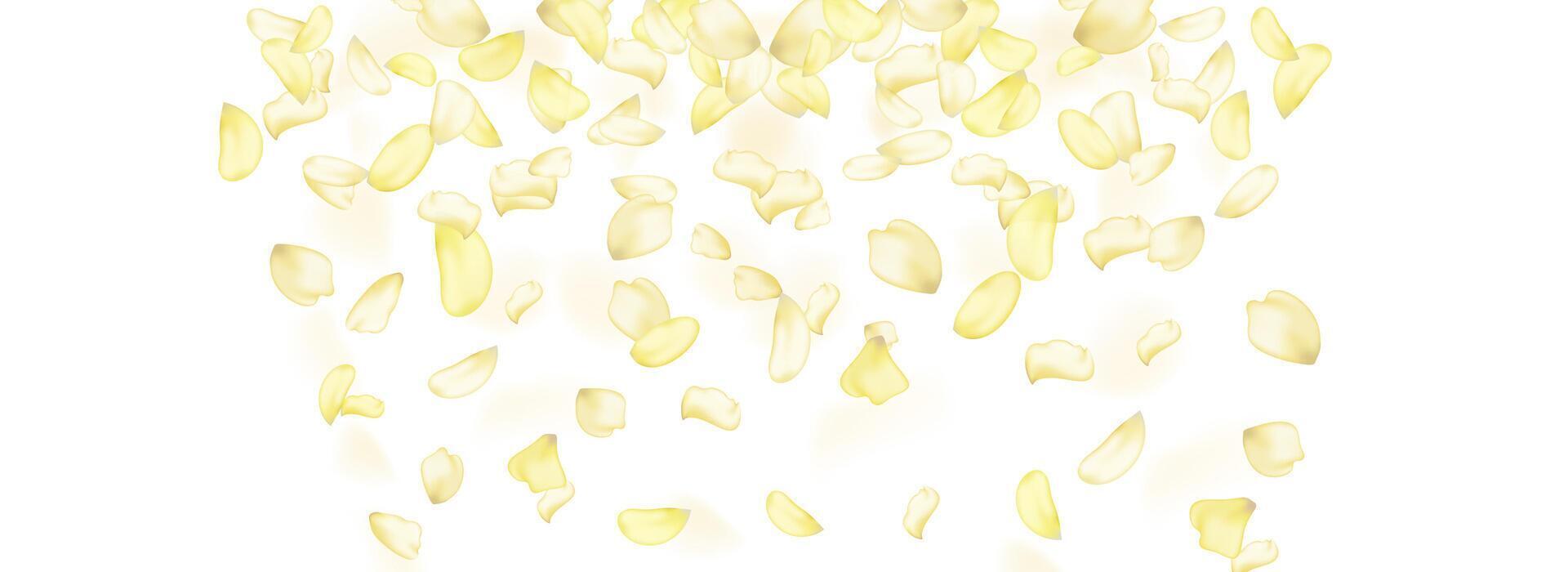 Flying yellow rose or sakura petals.Floral background. vector