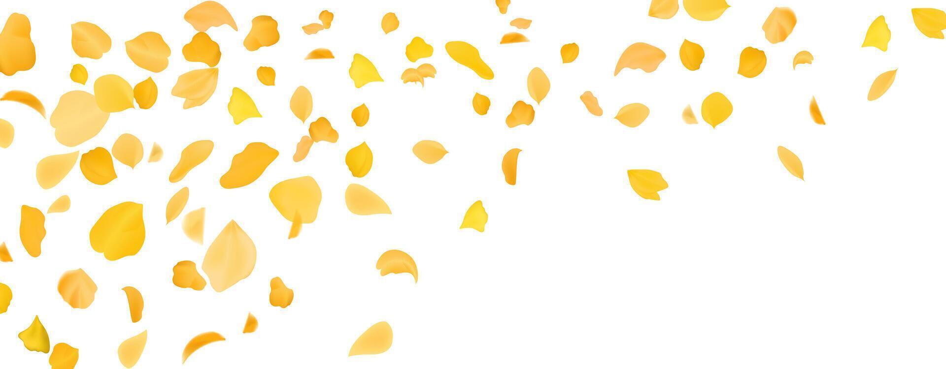 Flying yellow rose or sakura petals.Floral background. vector