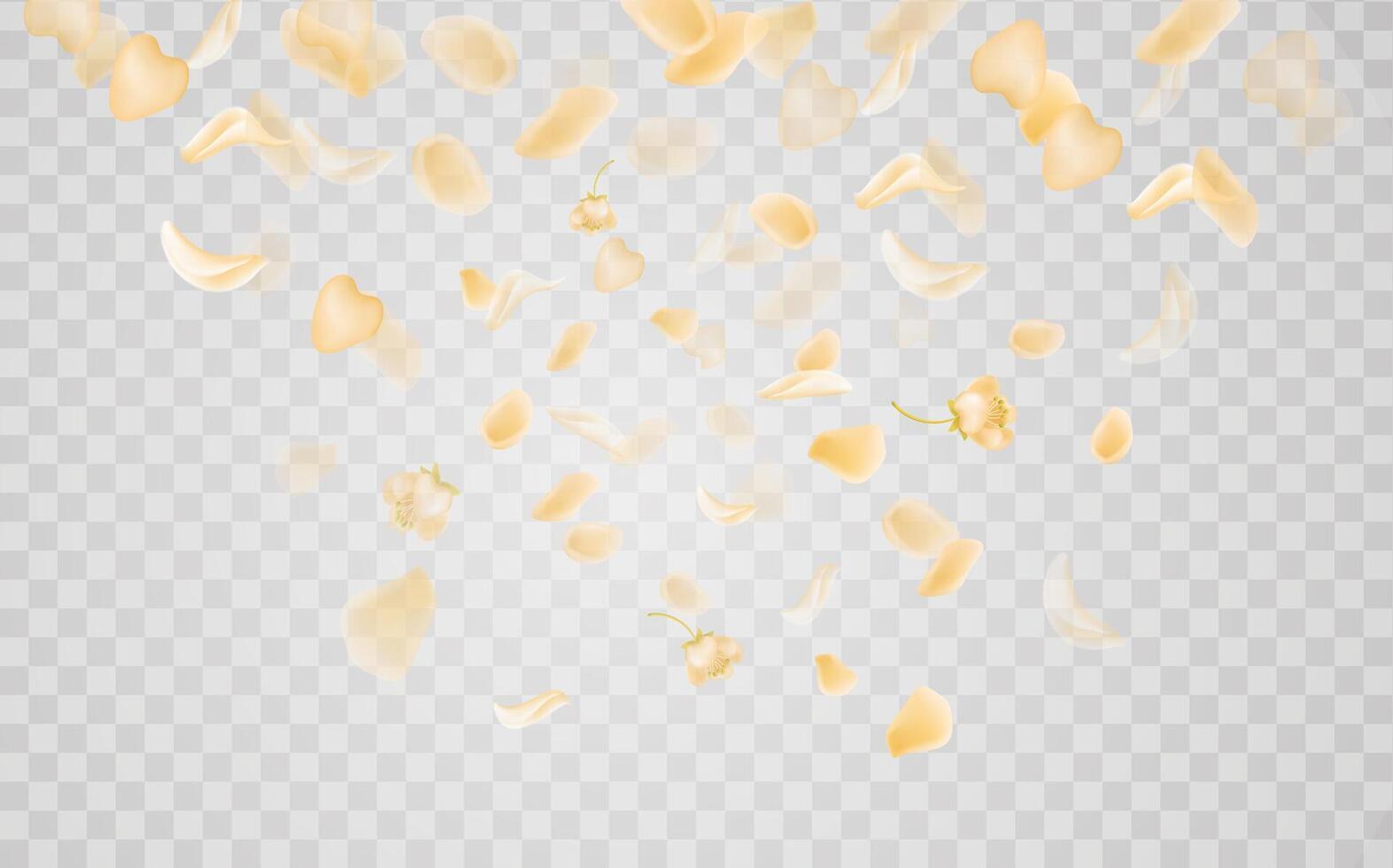 Flying yellow rose or sakura petals.Floral background. vector