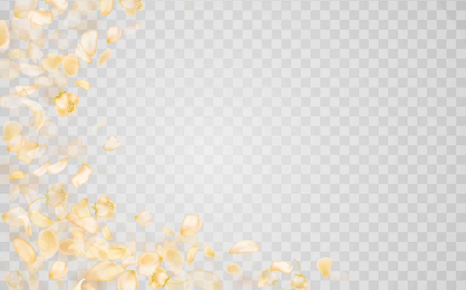 Flying yellow rose or sakura petals.Floral background. vector
