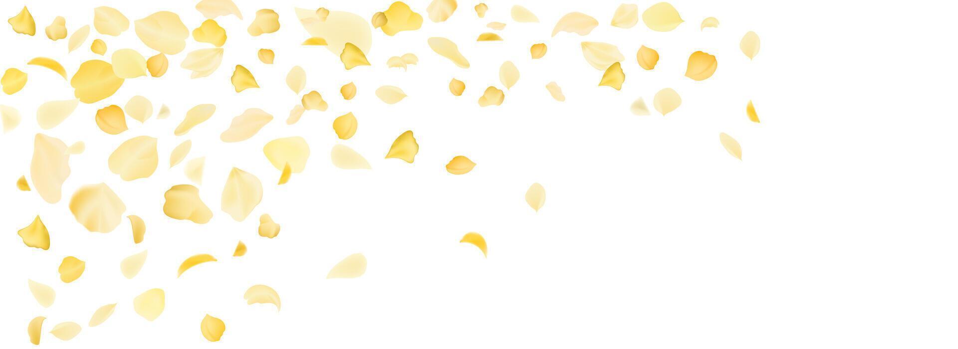 Flying yellow rose or sakura petals.Floral background. vector