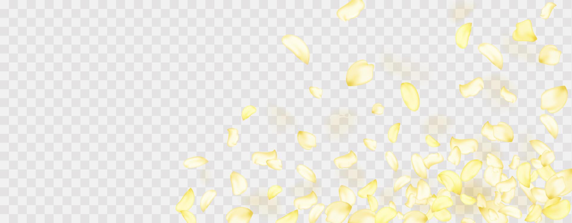 Flying yellow rose or sakura petals.Floral background. vector