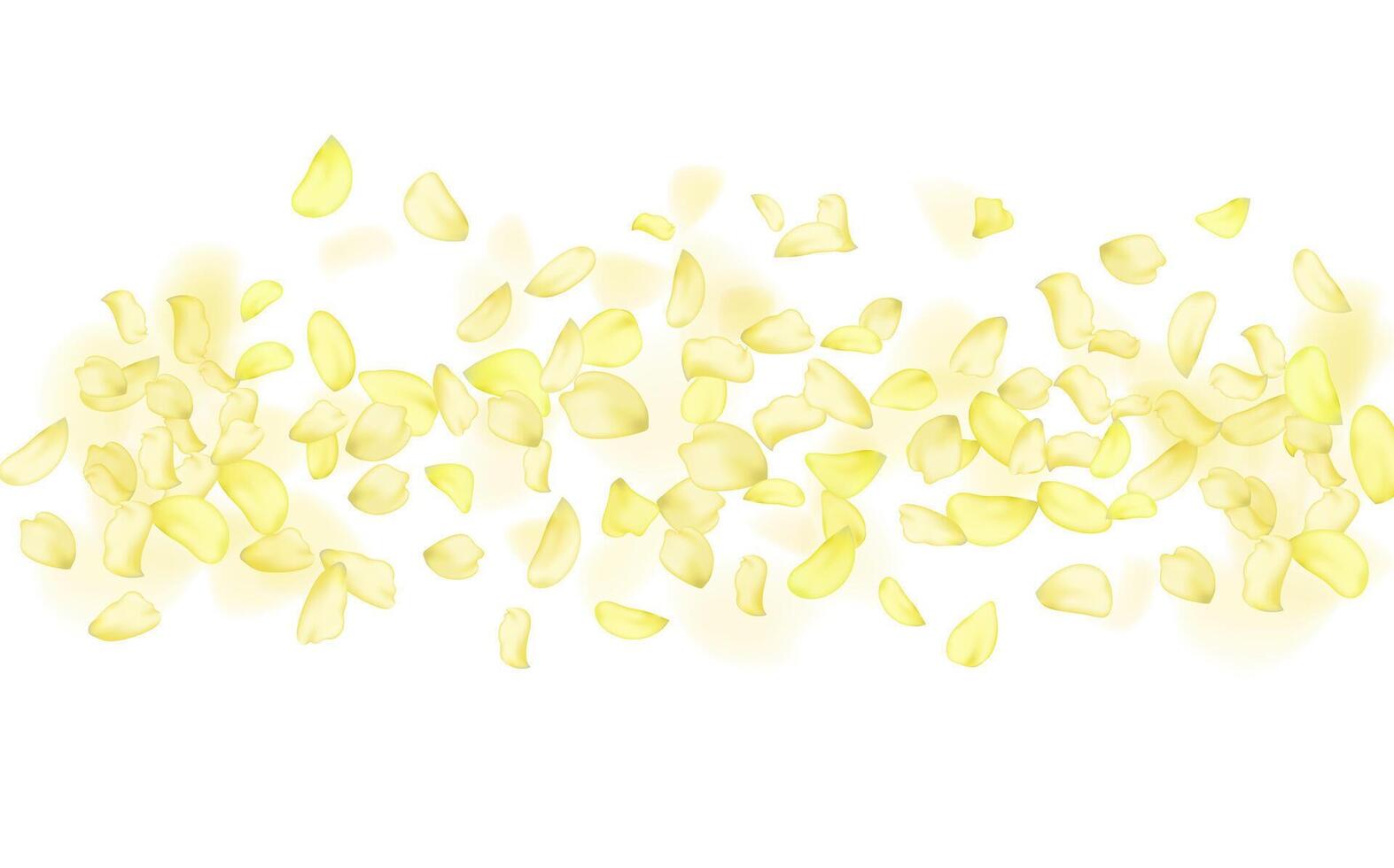 Flying yellow rose or sakura petals.Floral background. vector