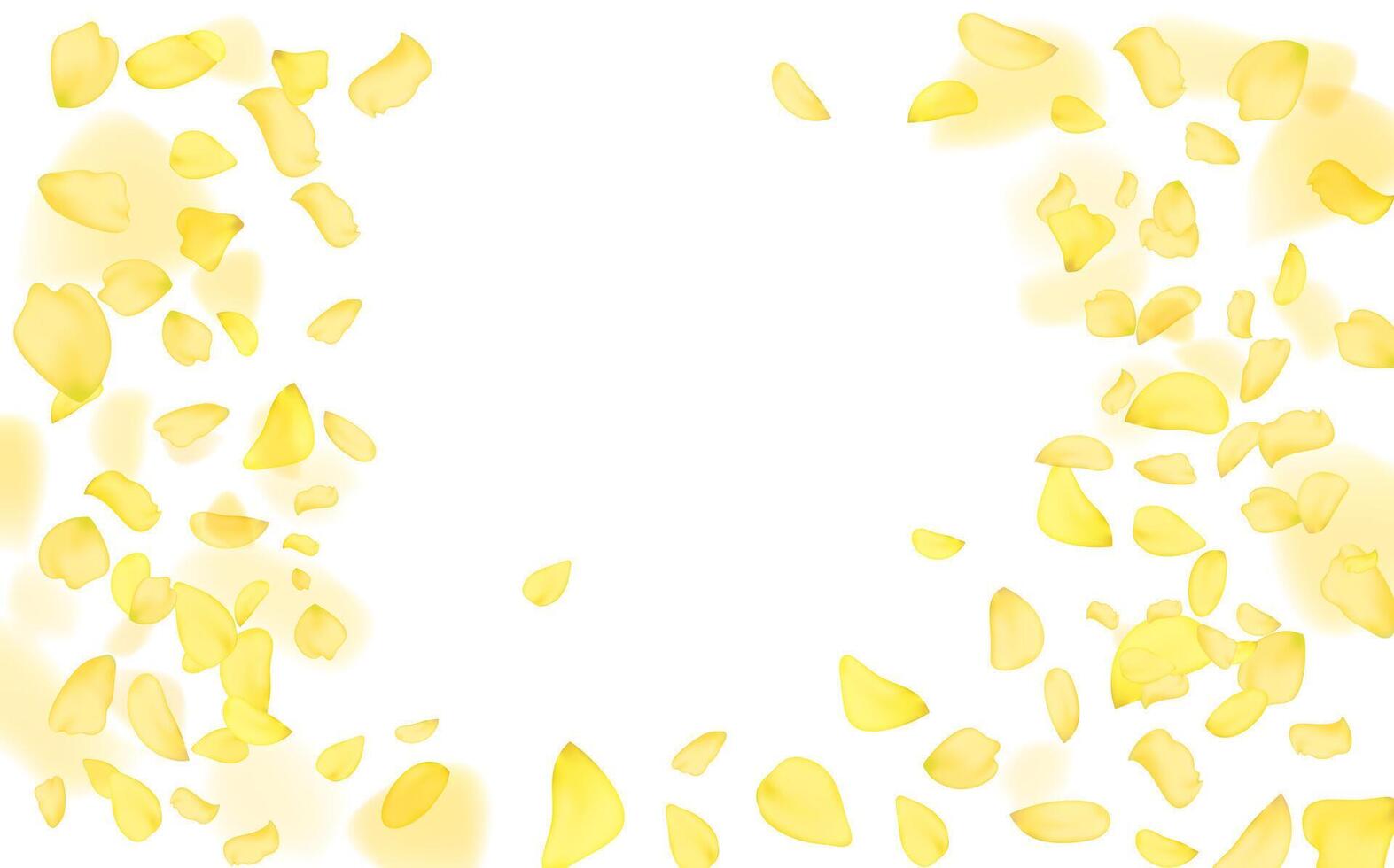 Flying yellow rose or sakura petals.Floral background. vector