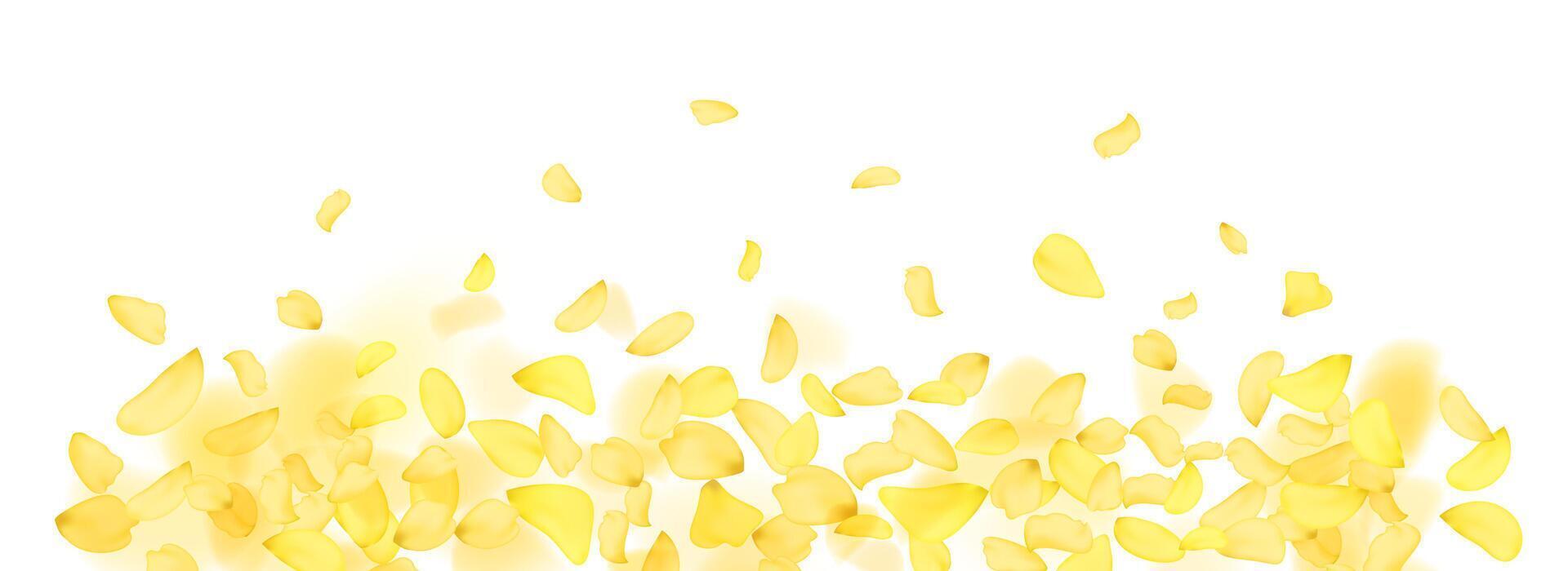 Flying yellow rose or sakura petals.Floral background. vector