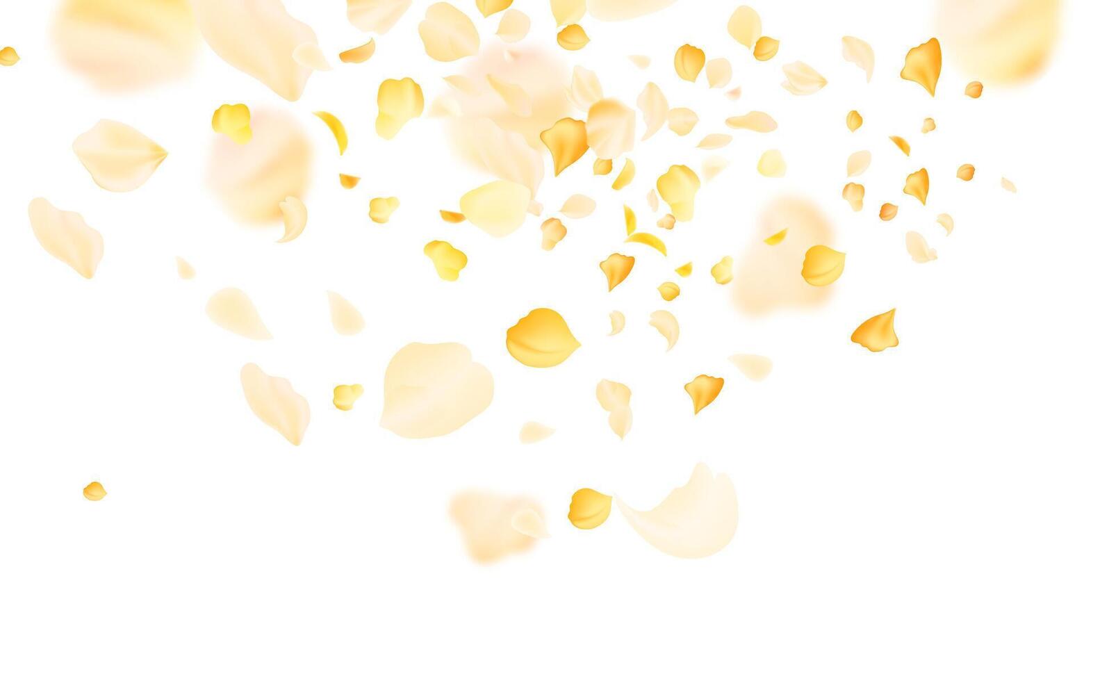 Flying yellow rose or sakura petals.Floral background. vector