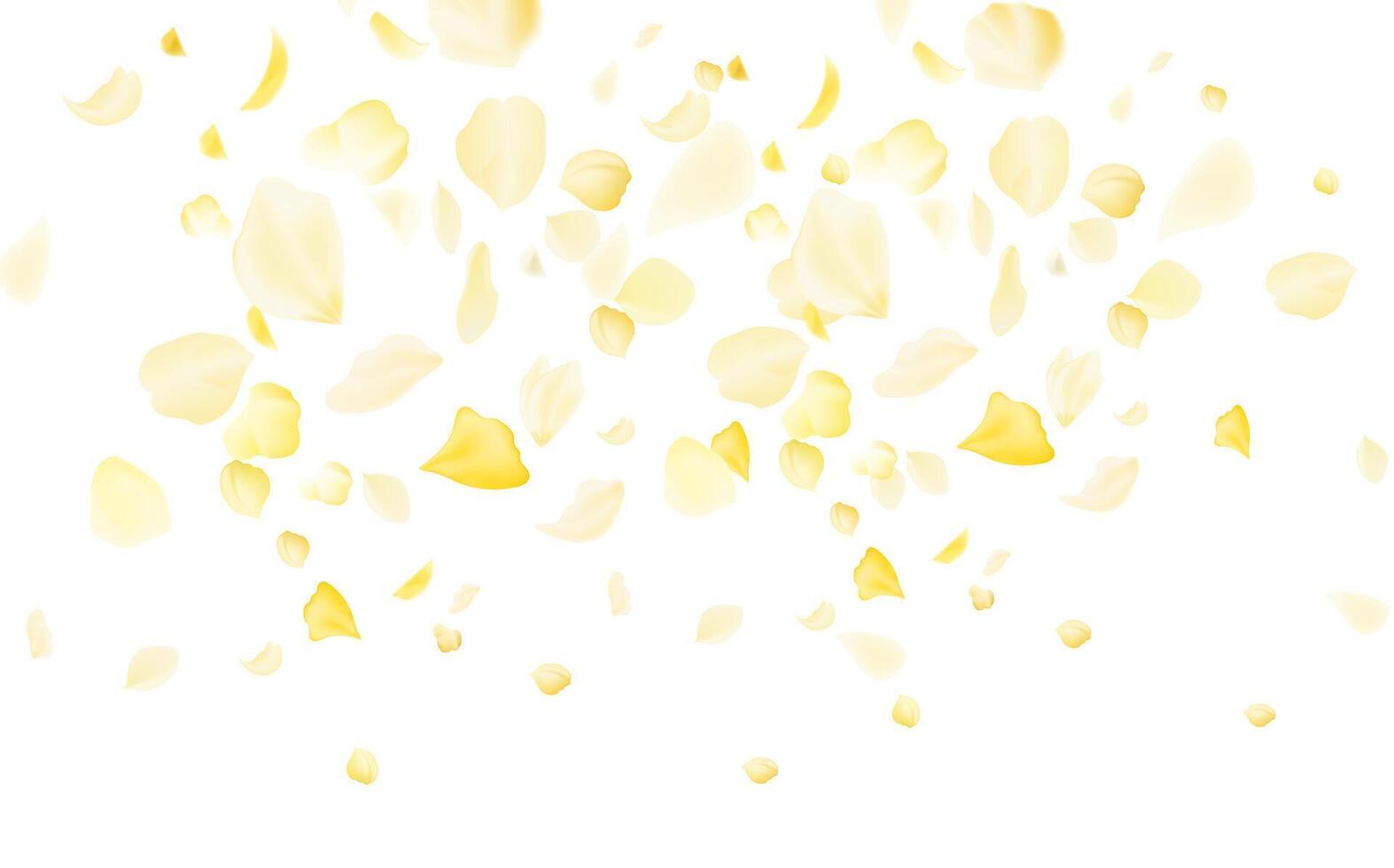 Flying yellow rose or sakura petals.Floral background. vector