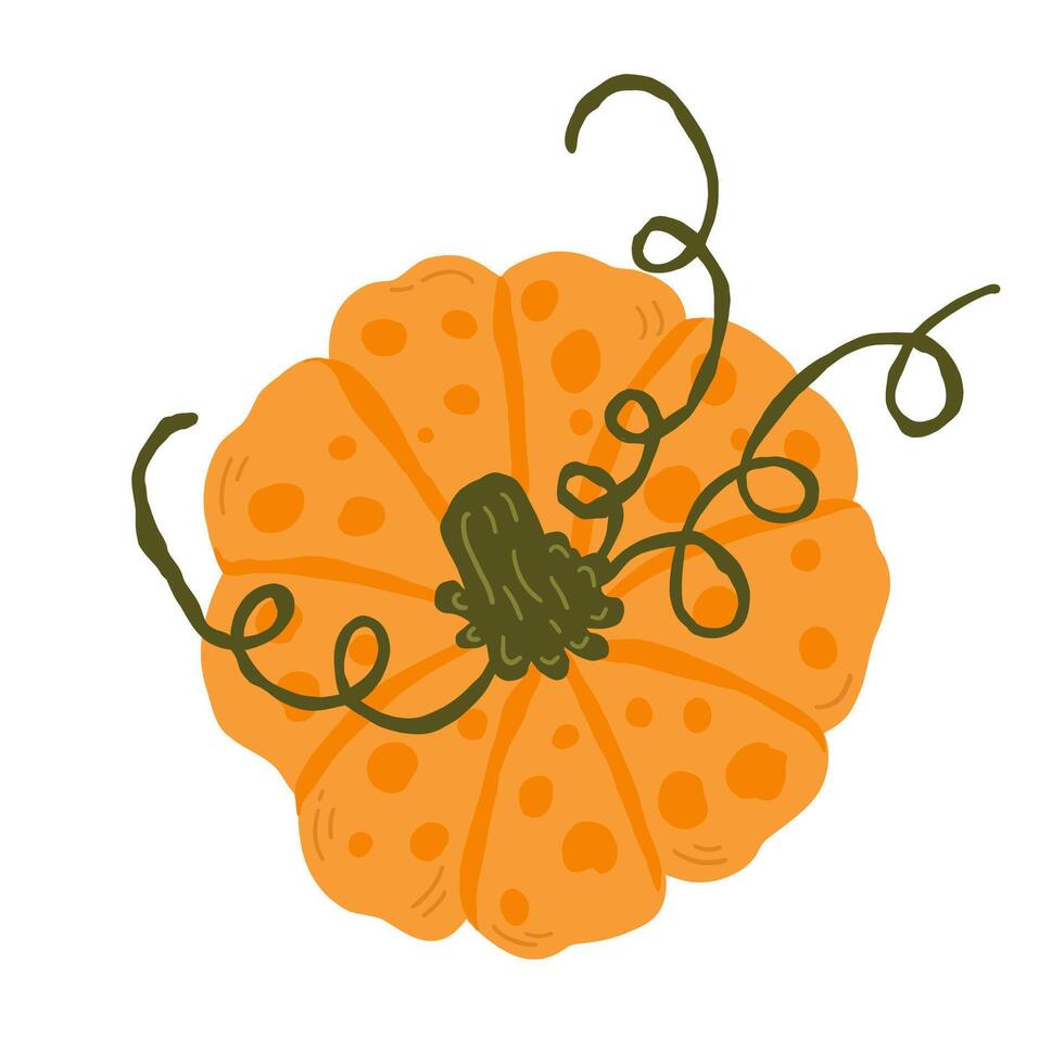 Single element of colorful orange autumn pumpkin Symbol of Halloween and Thanksgiving day. illustration on white background in doodle style. vector