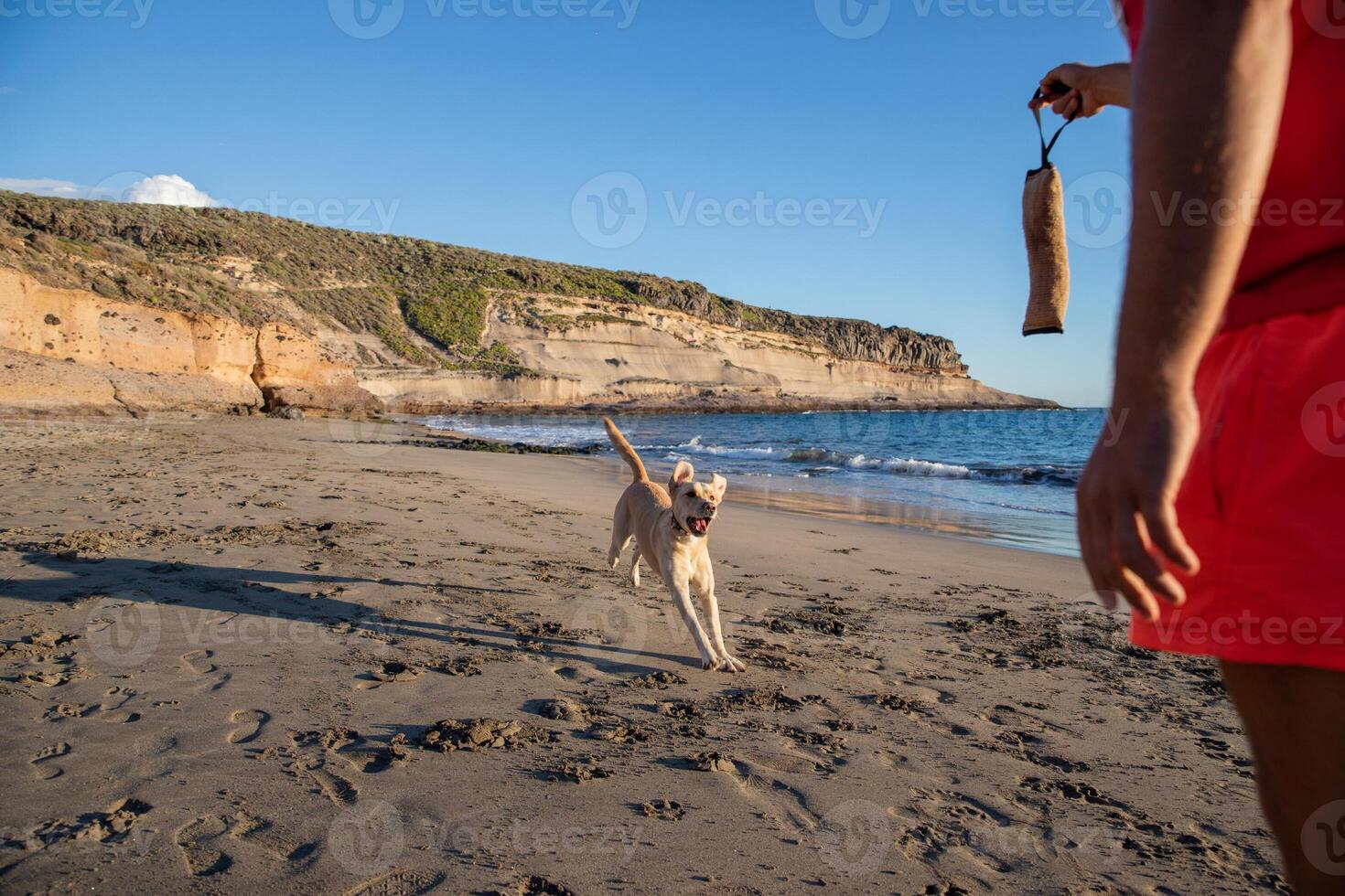 A canine trainer during a training at the beach with a dog that is about to catch the chew toy photo