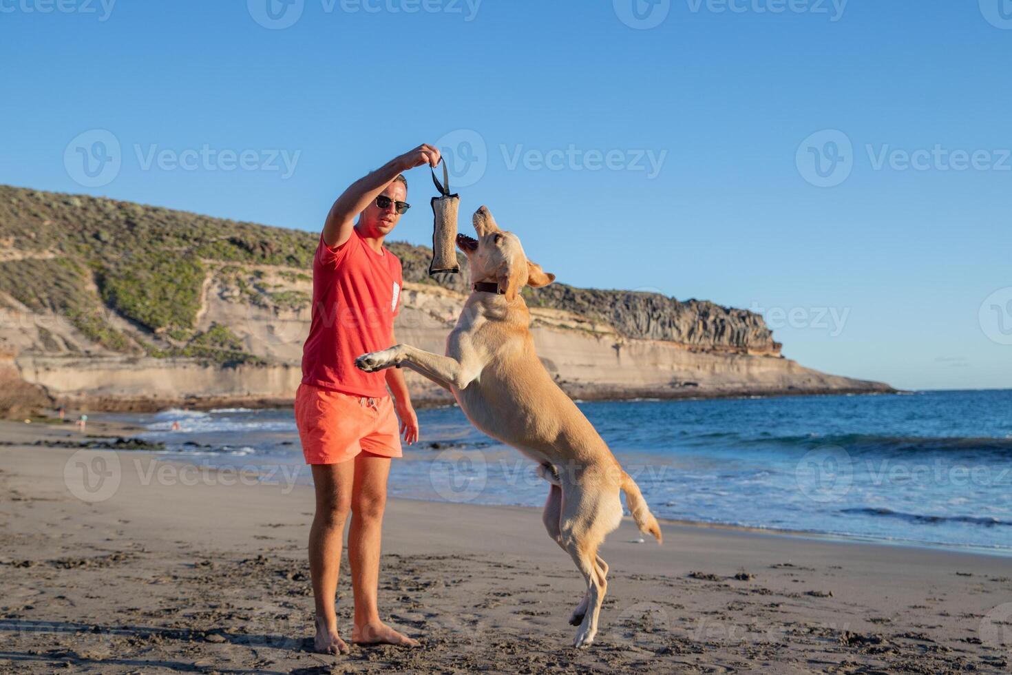 A dog trainer with a dog on the beach doing training exercises, the dog jumps to bite the chew toy photo