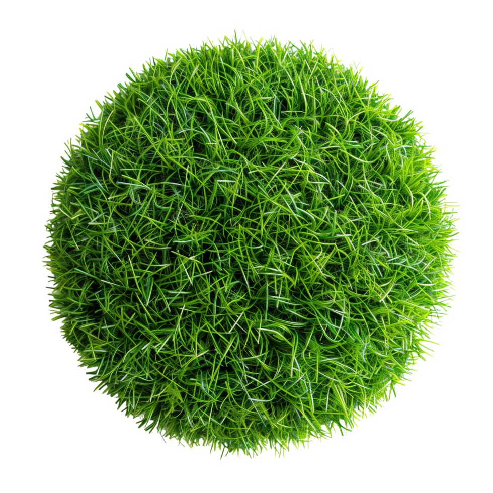 A top view of a floating patch of artificial grass, round and short, isolated on a transparent background png