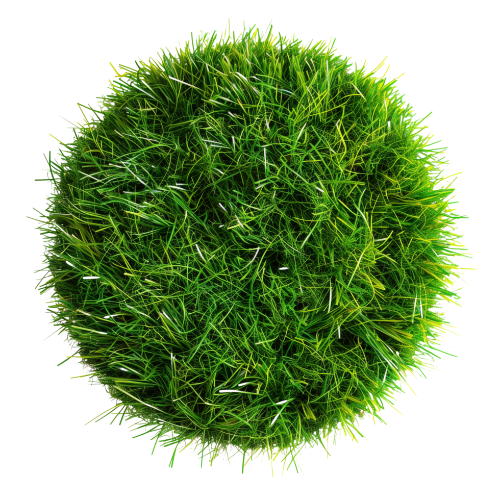 A top view of a floating patch of artificial grass, round and short, isolated on a transparent background png