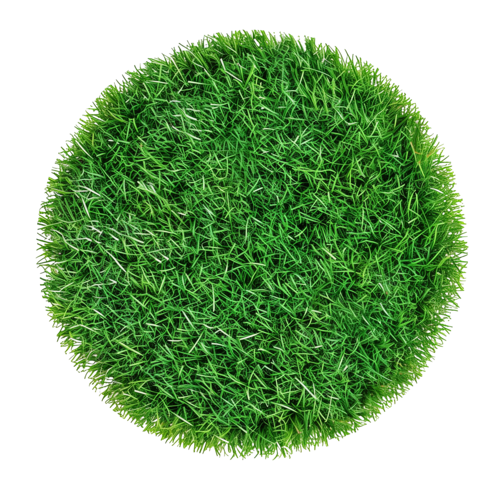 A top view of a floating patch of artificial grass, round and short, isolated on a transparent background png