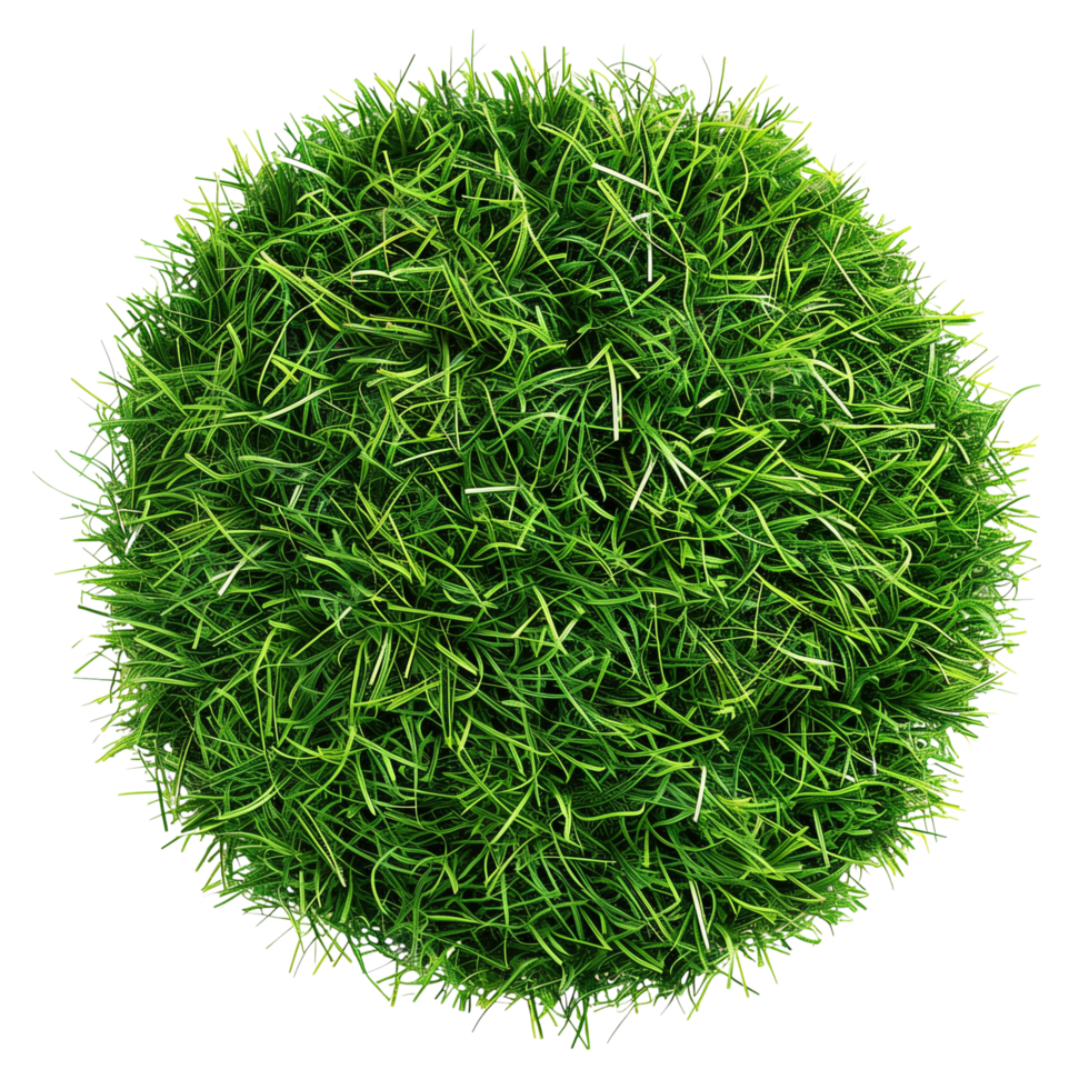 A top view of a floating patch of artificial grass, round and short, isolated on a transparent background png