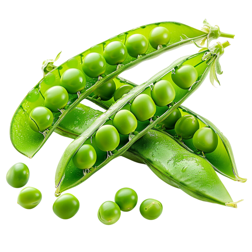 A heap of bright green peas, fresh from the pod, vivid and inviting, captured by a renowned food photographer isolated on a transparent background png