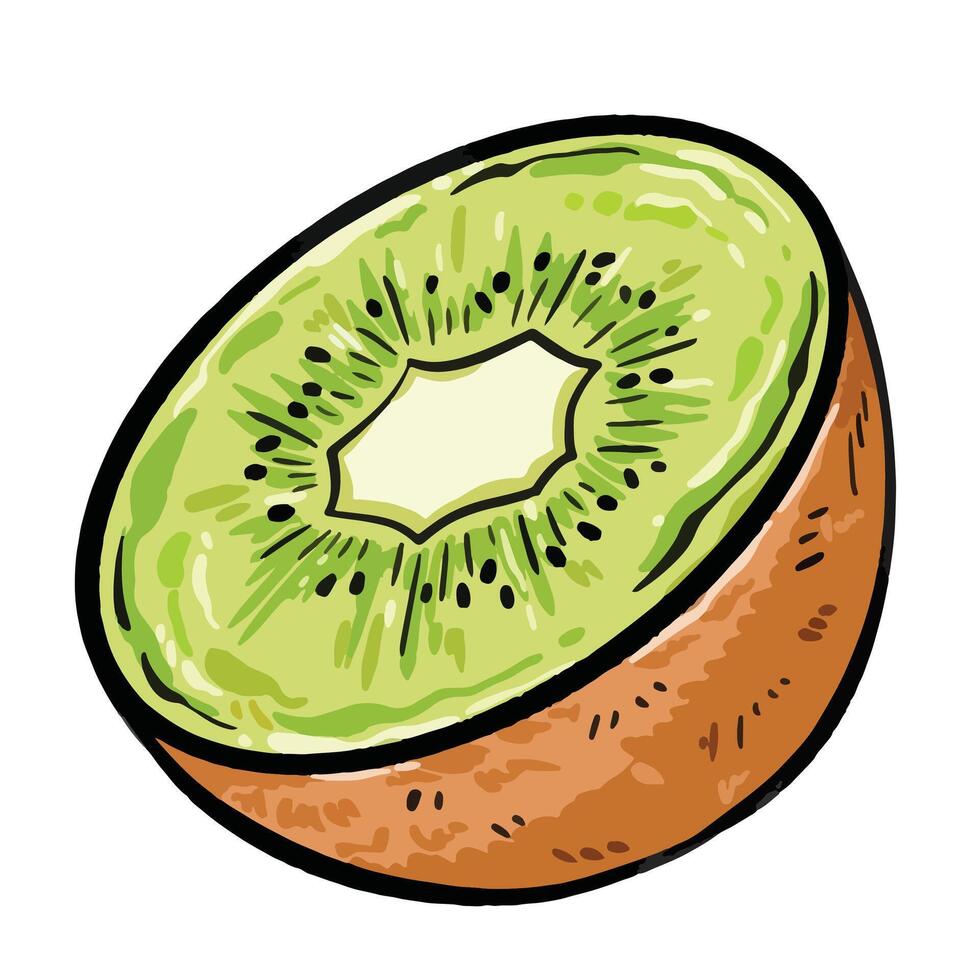 Sliced kiwi fruit illustration isolated on square white background. Simple flat cartoon art styled drawing. vector