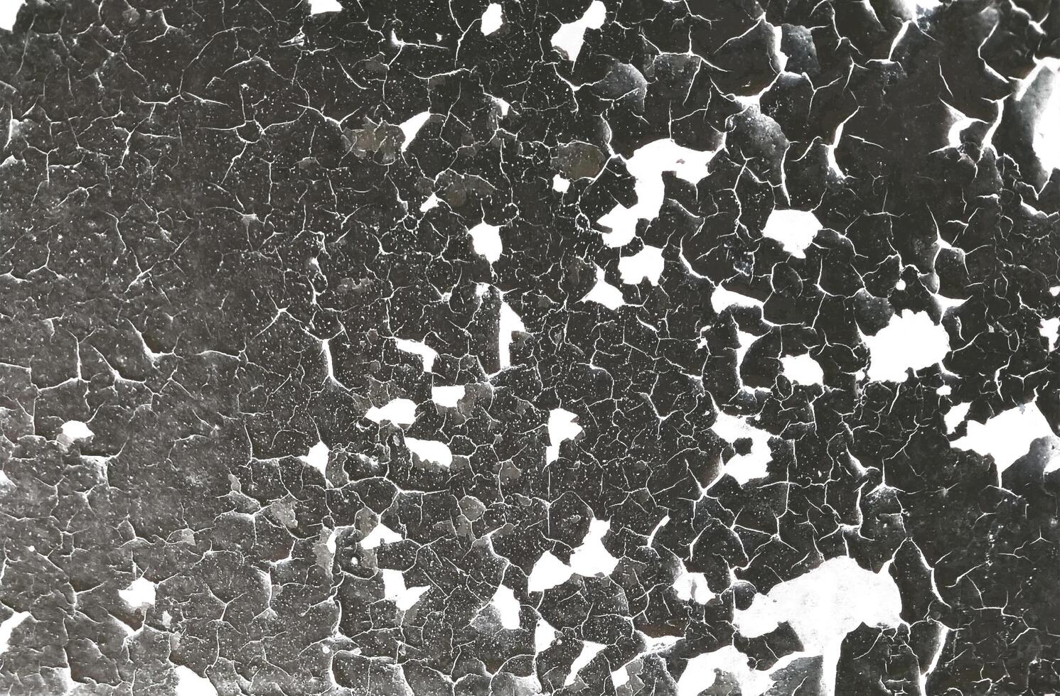 abstract background of old cracked surface on white background photo