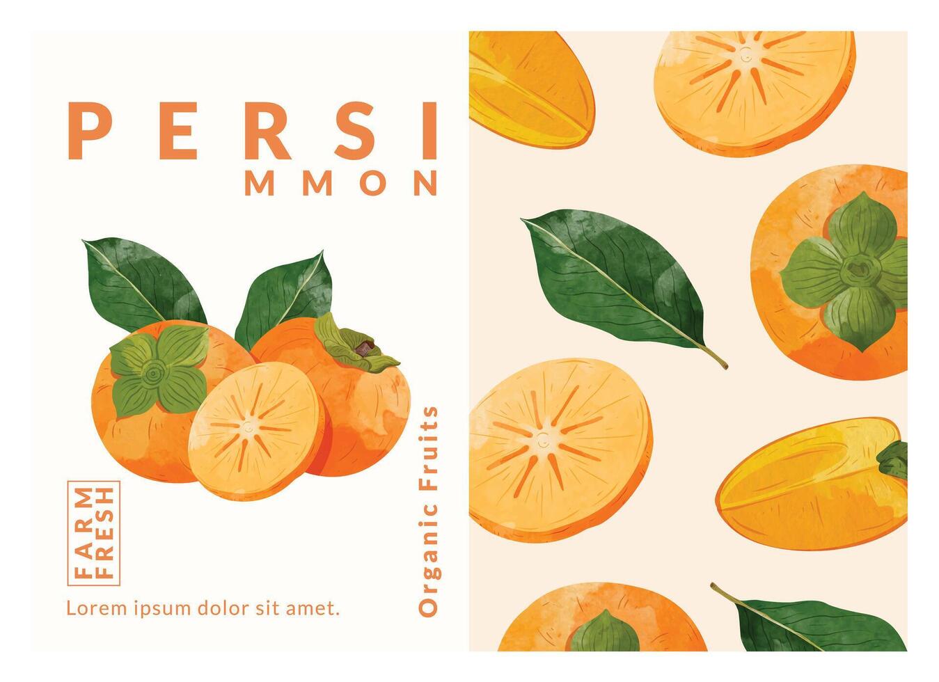 Persimmon fruit packaging design templates. watercolour style vector