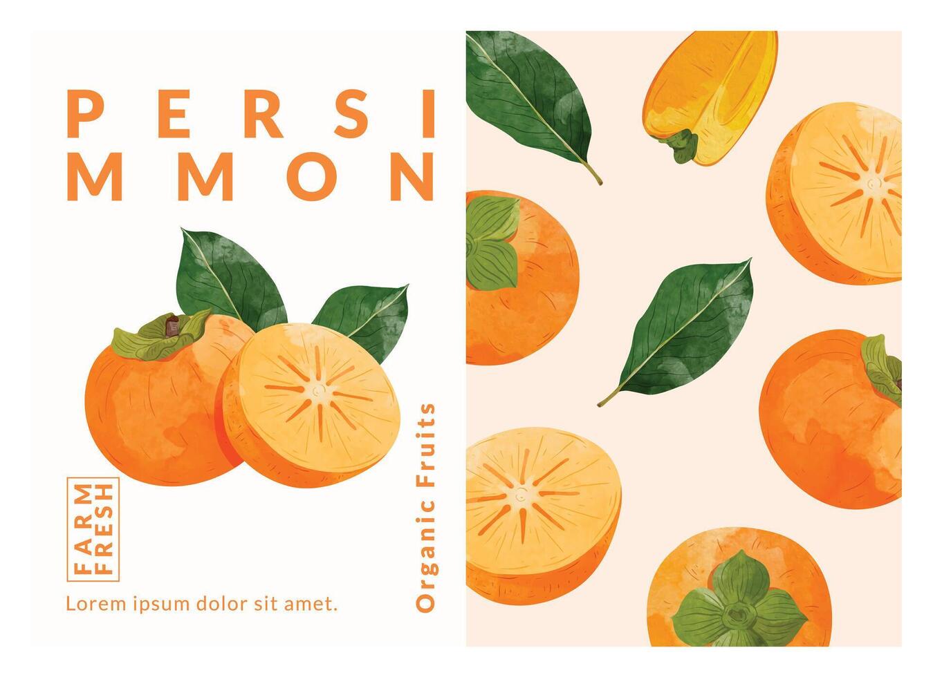 Persimmon fruit packaging design templates. watercolour style vector