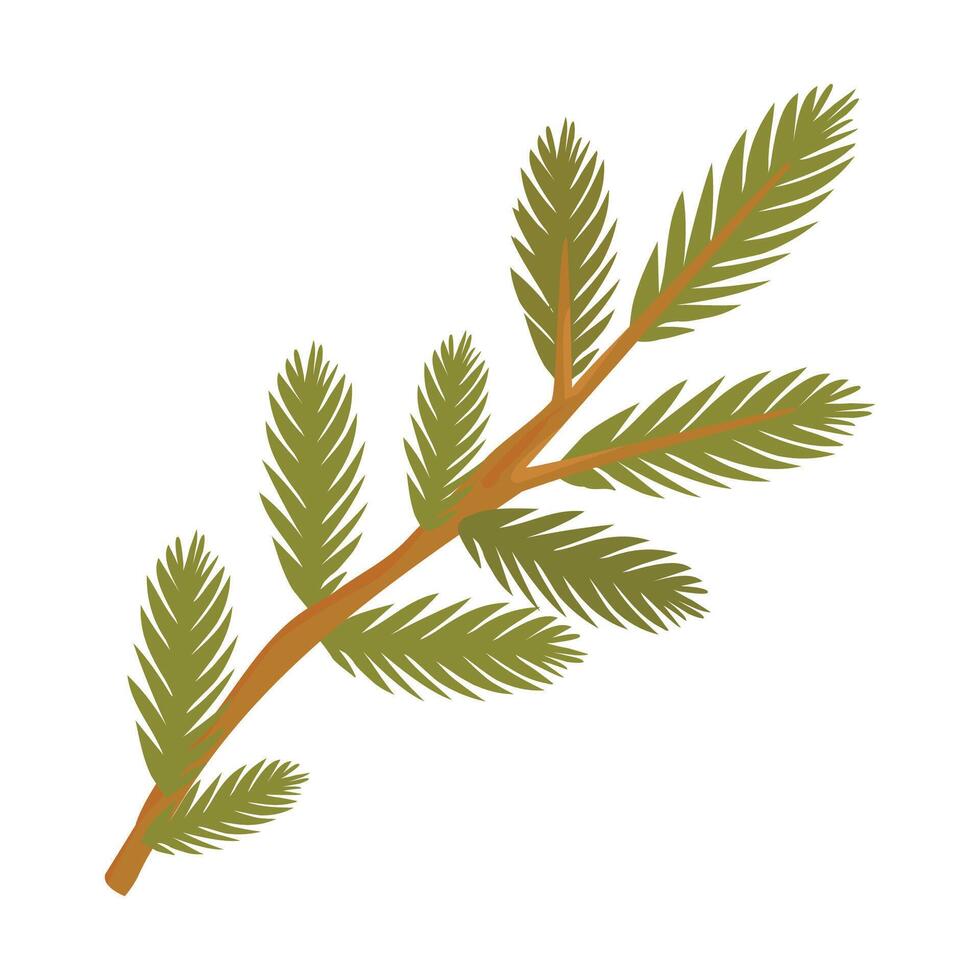 Fir tree branch. A branch of a pine tree. Coniferous trees. illustration design. vector