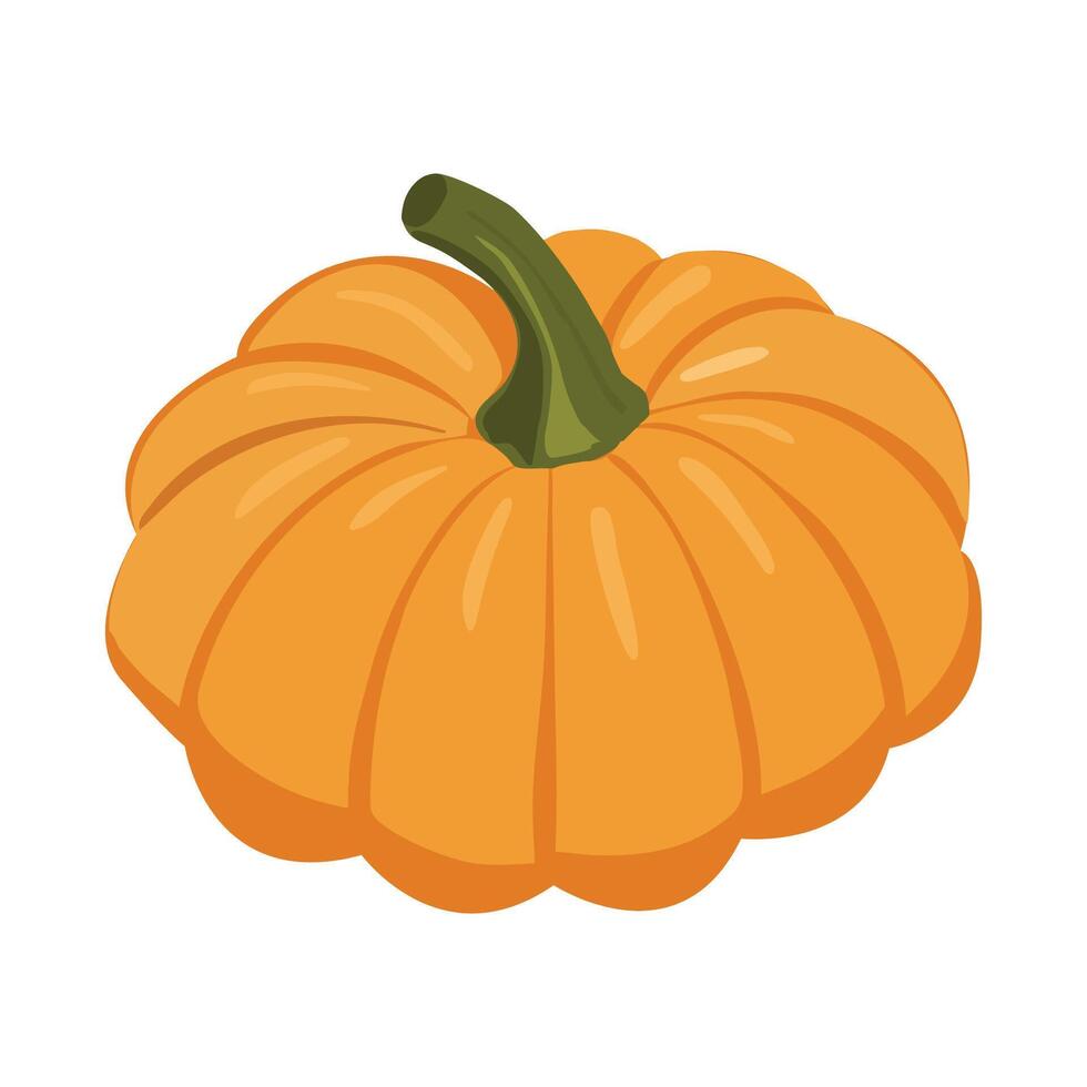 Cute autumn pumpkin. Autumn halloween pumpkin, vegetable graphic icon. Pumpkin Isolated on White. vector