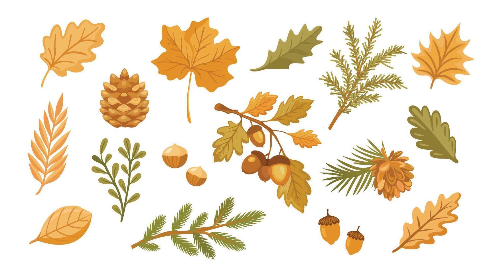 Set of autumn leaves, branches, acorns and cones. Forest nature orange leafage and september red leaves. Chestnut, dog rose and viburnum or foliage leaf. illustration vector