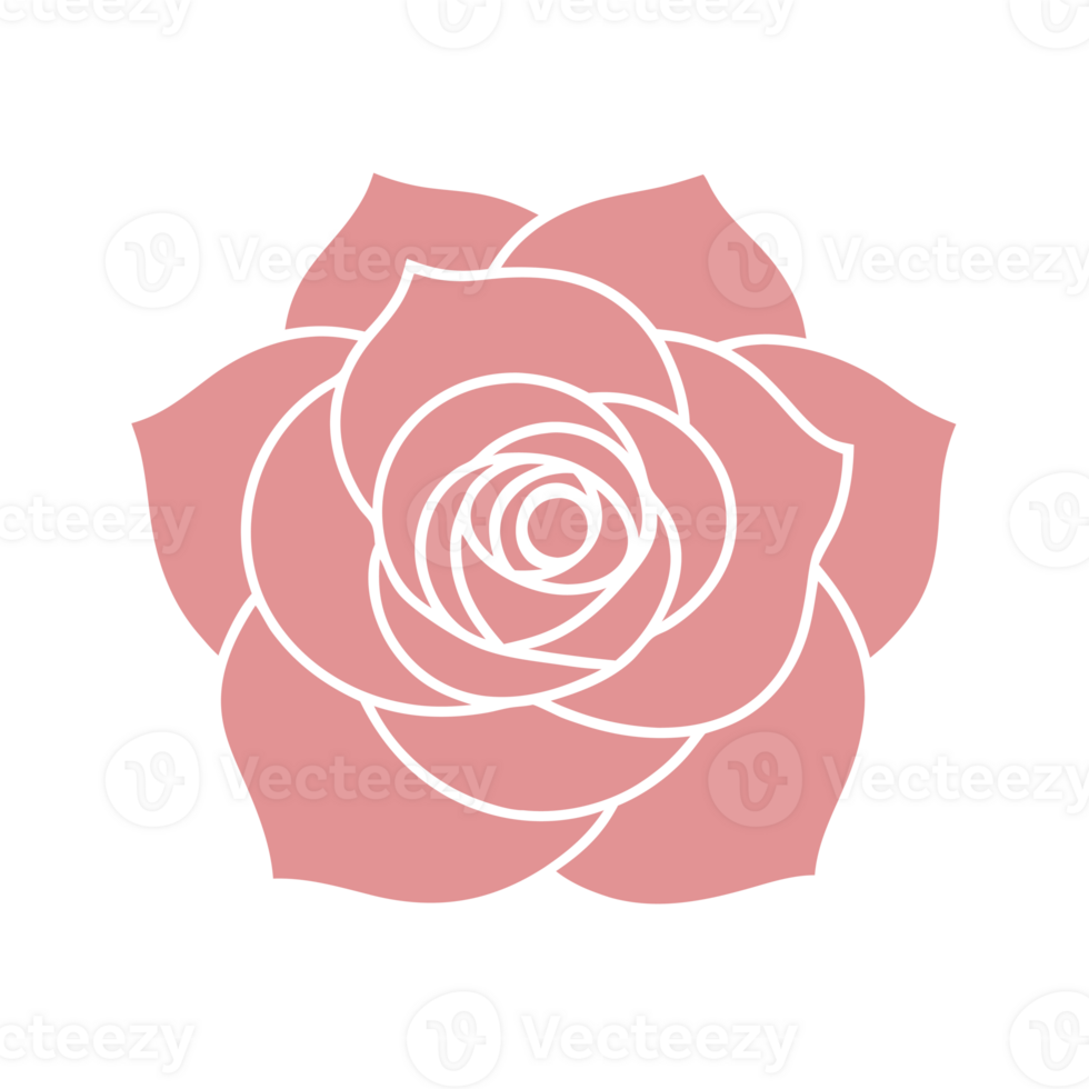 A elegant rose png