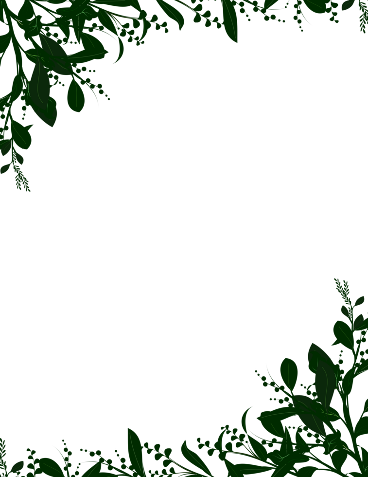 botanical border illustration frame png