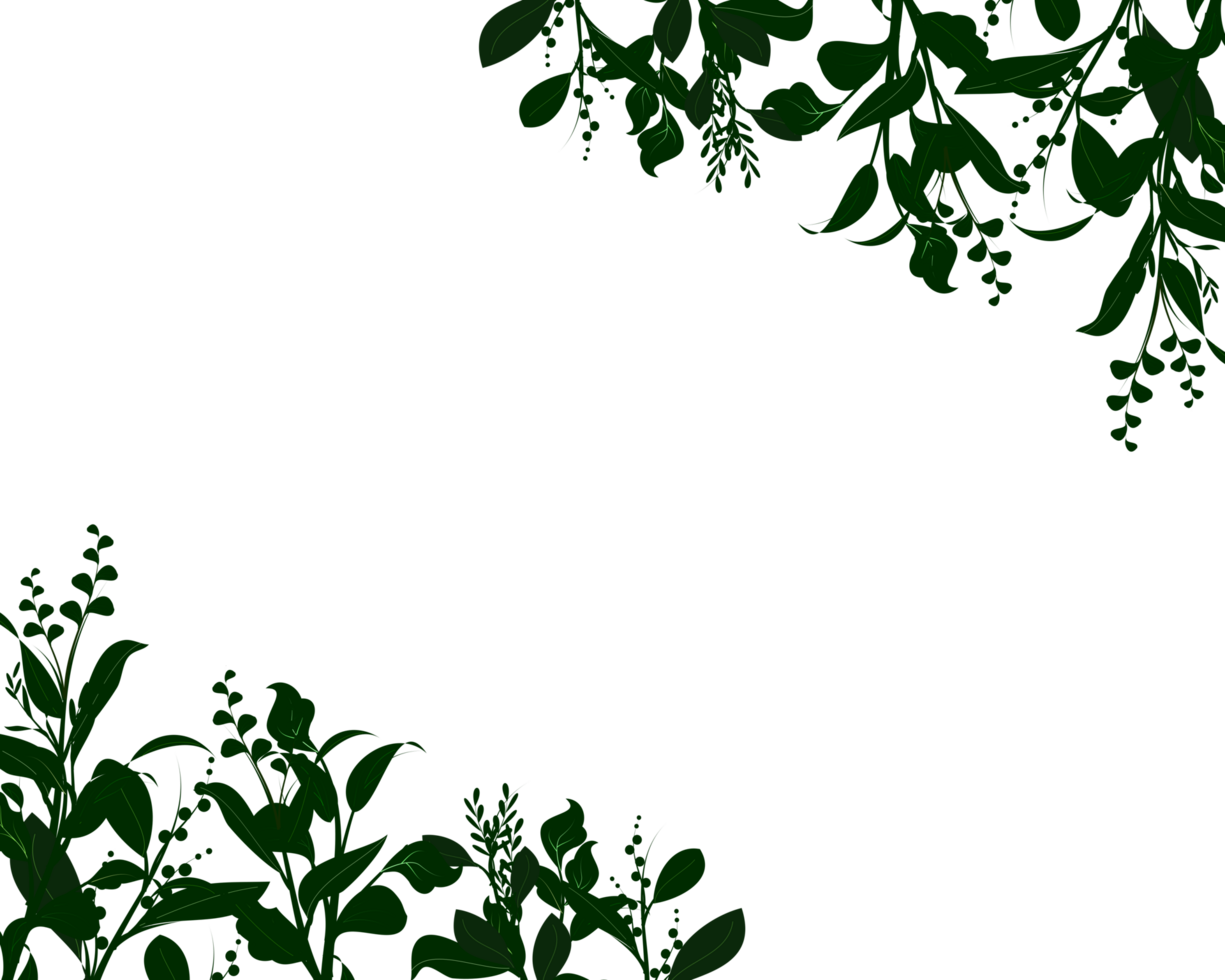 botanical border illustration frame png