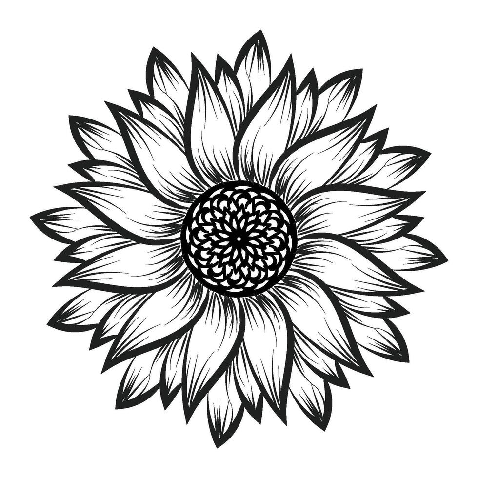 Flower Line art for coloring pages vector