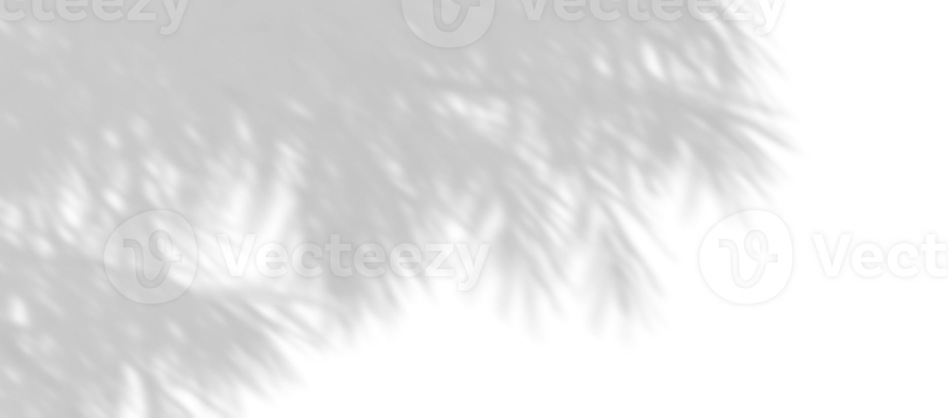 Realistic shadow shade branches leaves trees movement on transparent backgrounds png