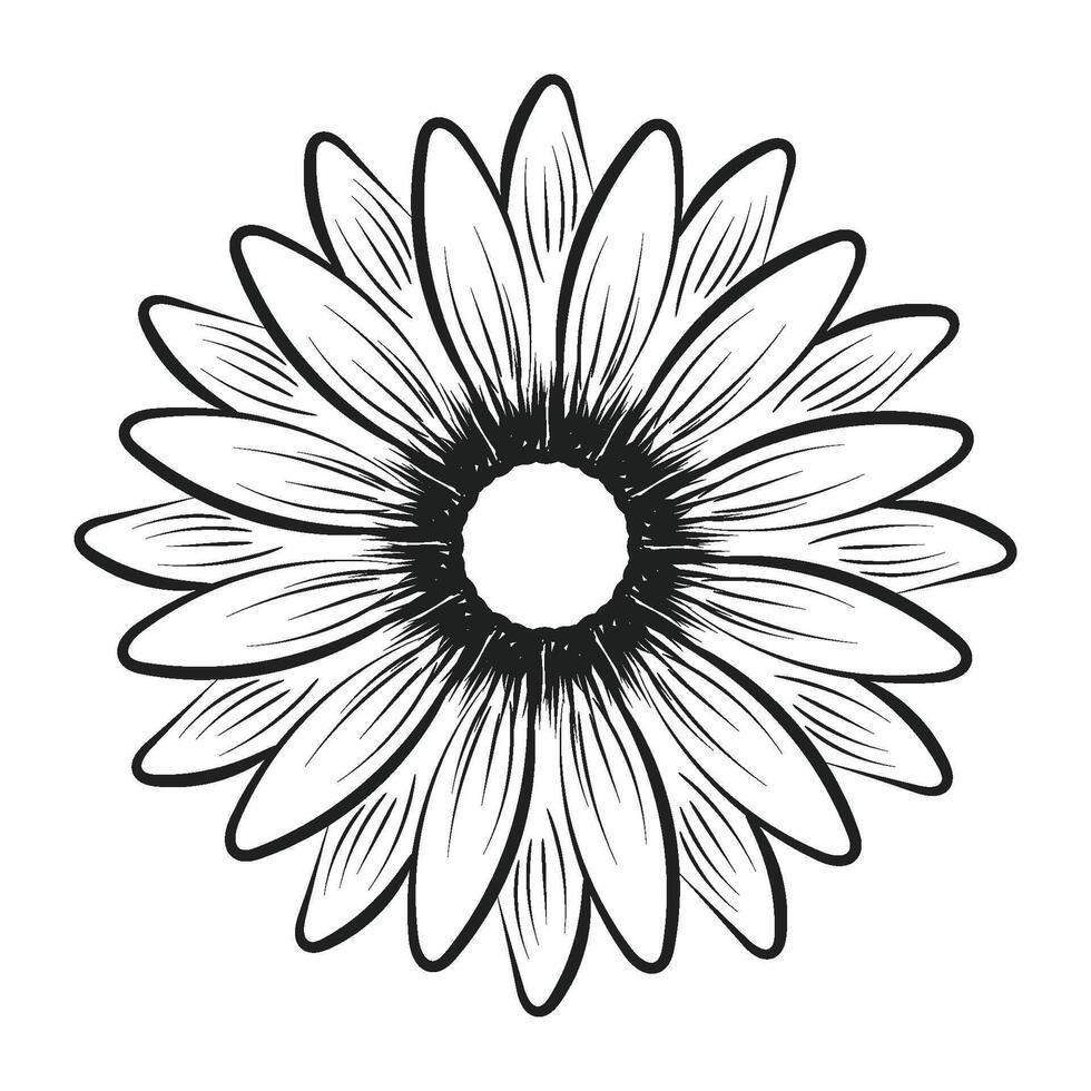 Flower Line art for coloring pages vector