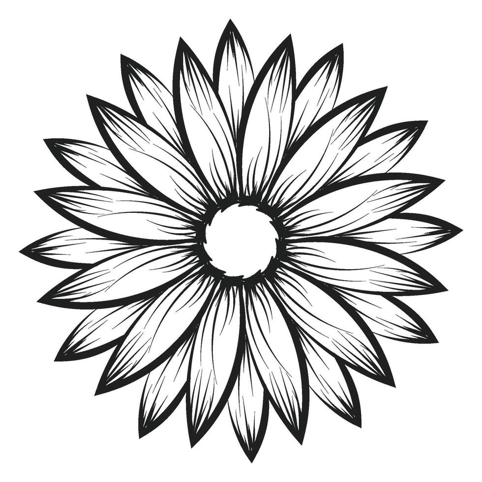 Flower Line art for coloring pages vector