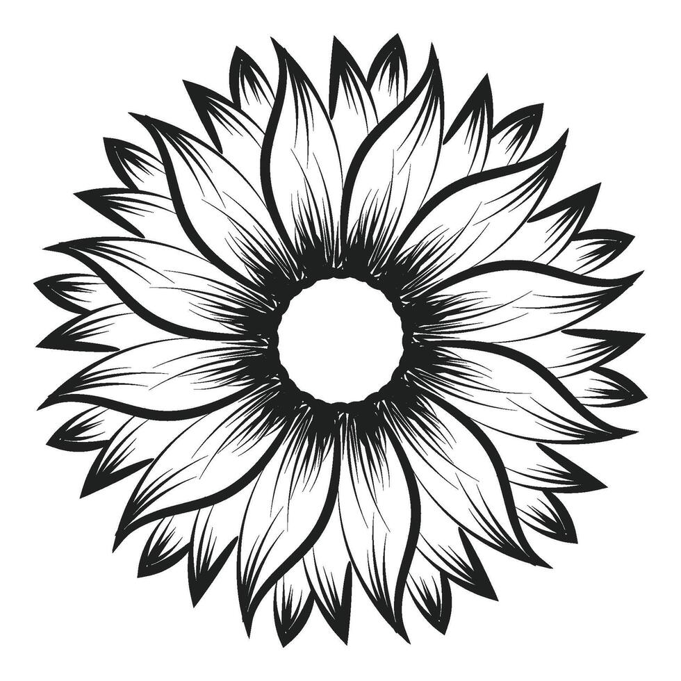 Flower Line art for coloring pages vector