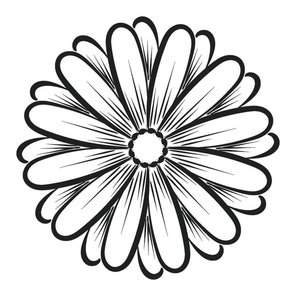 Flower Line art for coloring pages vector