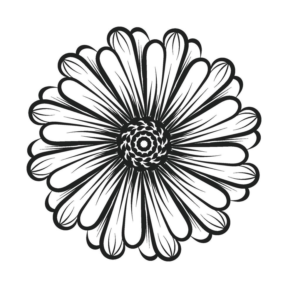 Flower Line art for coloring pages vector